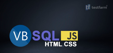 HTML, CSS, JavaScript, VB.NET и SQL