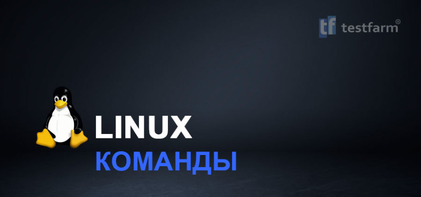 Тесты онлайн - Команды в OS Linux ч.3