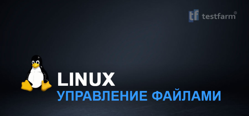 Тесты онлайн - Linux. Управление файлами
