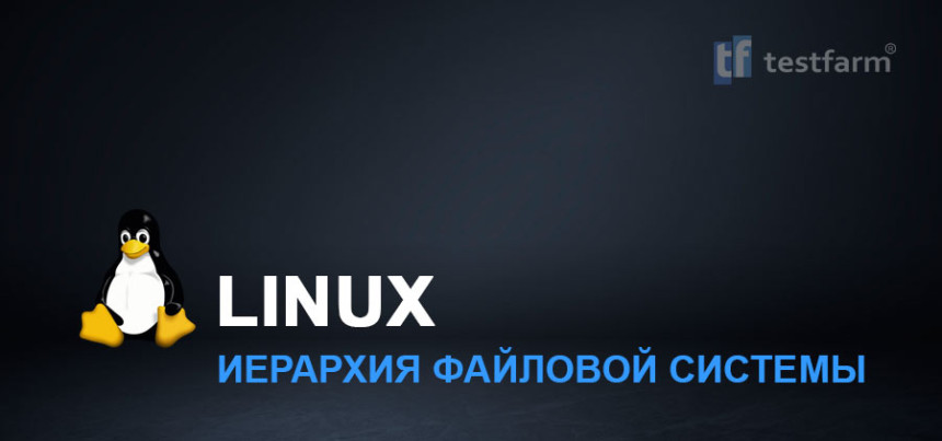 Тесты онлайн - Иерархия файловой системы Linux