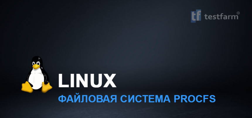 Тесты онлайн - Linux Procfs ч.1