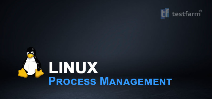Тесты онлайн - Управление процессами в Linux