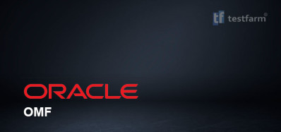 Oracle Managed Files (OMF) Oracle Managed Files (OMF)