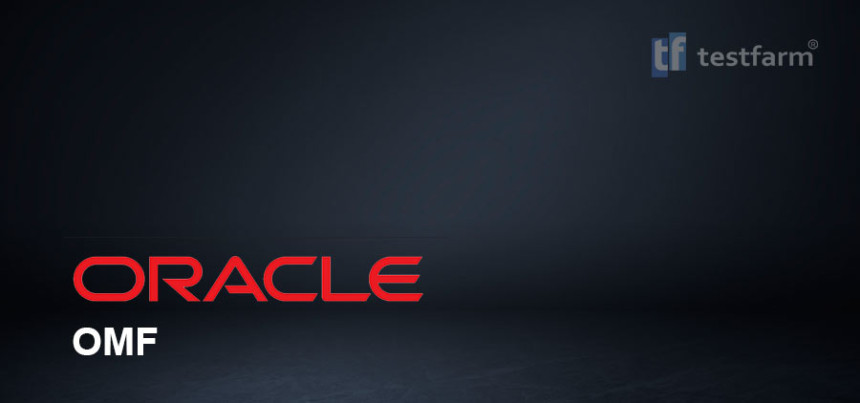 Тесты онлайн - Oracle Managed Files (OMF)