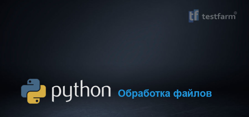 Тесты онлайн - Python. Обработка файла